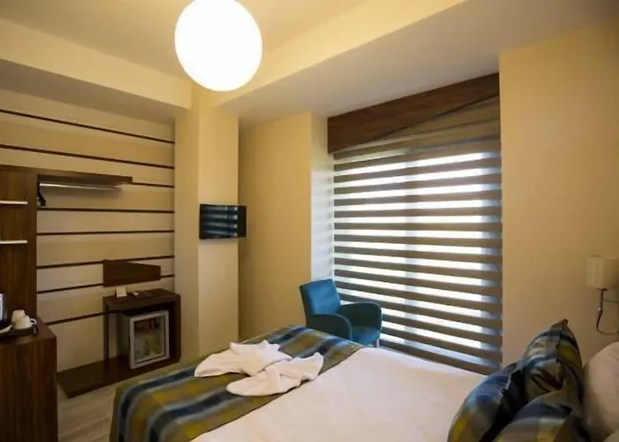 Hotel Altinpark Kayseri