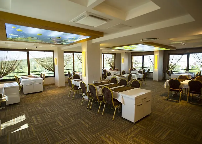 Altinpark Hotel Kayseri